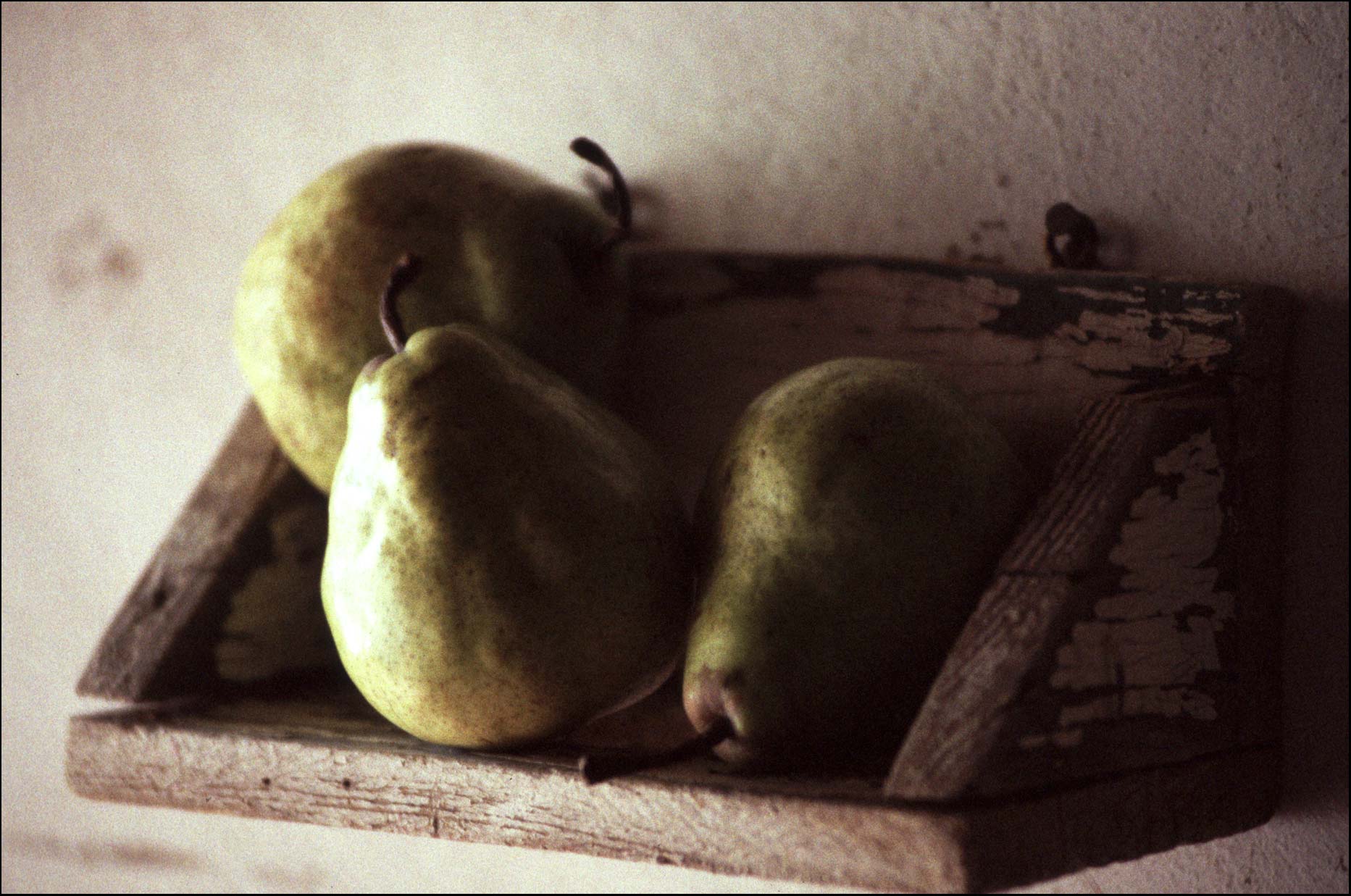 Pears on a shelf